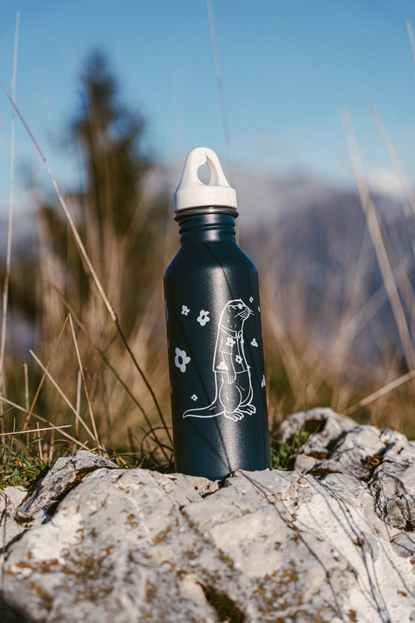 Single Wall Stainless Steel Bottle - Otter